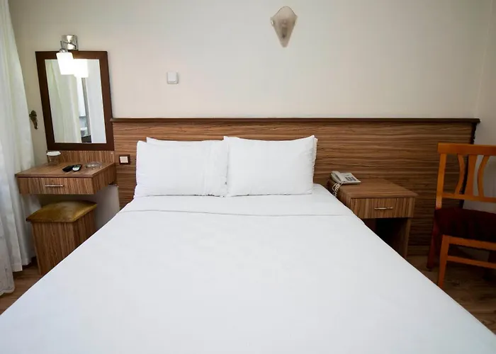 Ξενοδοχείο Buyuk Hamit 4*