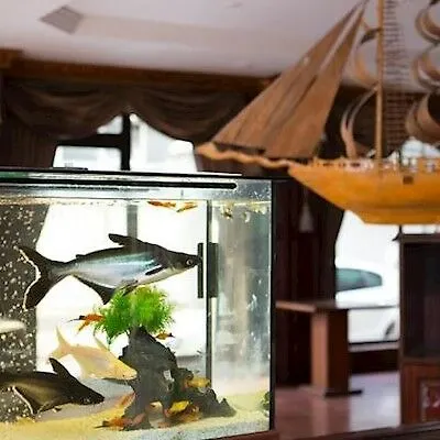 Ξενοδοχείο Buyuk Hamit 4*