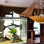 Hotel Buyuk Hamit 4*